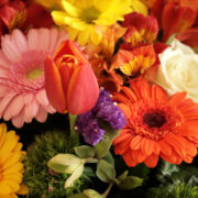 Betegtalálkozó - 2023